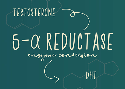 5-a Reductase Enzyme Conversion