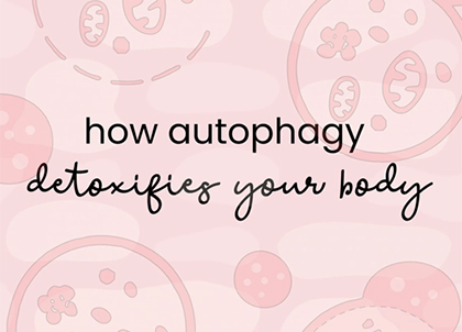 How Autophagy Detoxifies Your Body