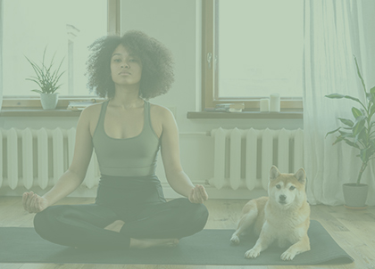 15 Minute Yoga Routine